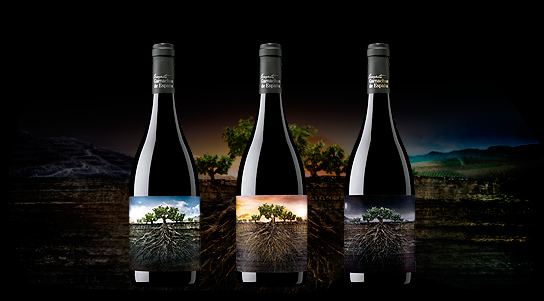  Proyecto Garnachas de España