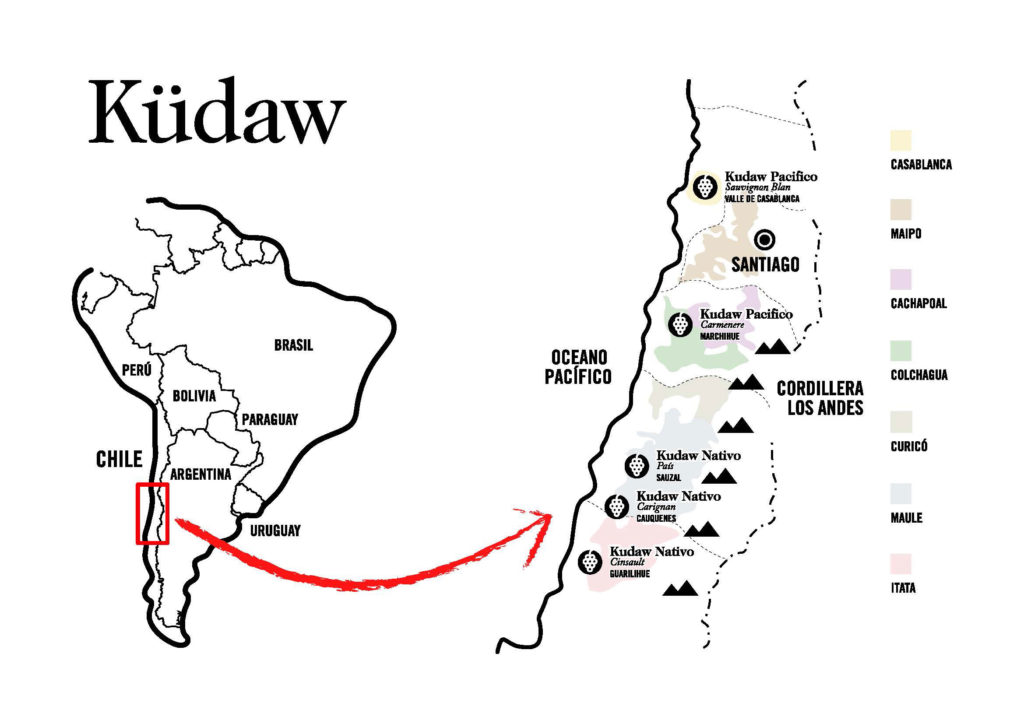 Küdaw, el primer vino chileno de Vintae ya está aquí
