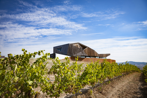 Visit our wineries and encounter a Vintae-style experience