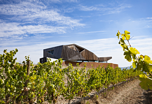 Aroa | Bodegas | VINTAE