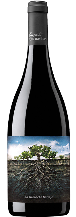 botella garnacha moncayo