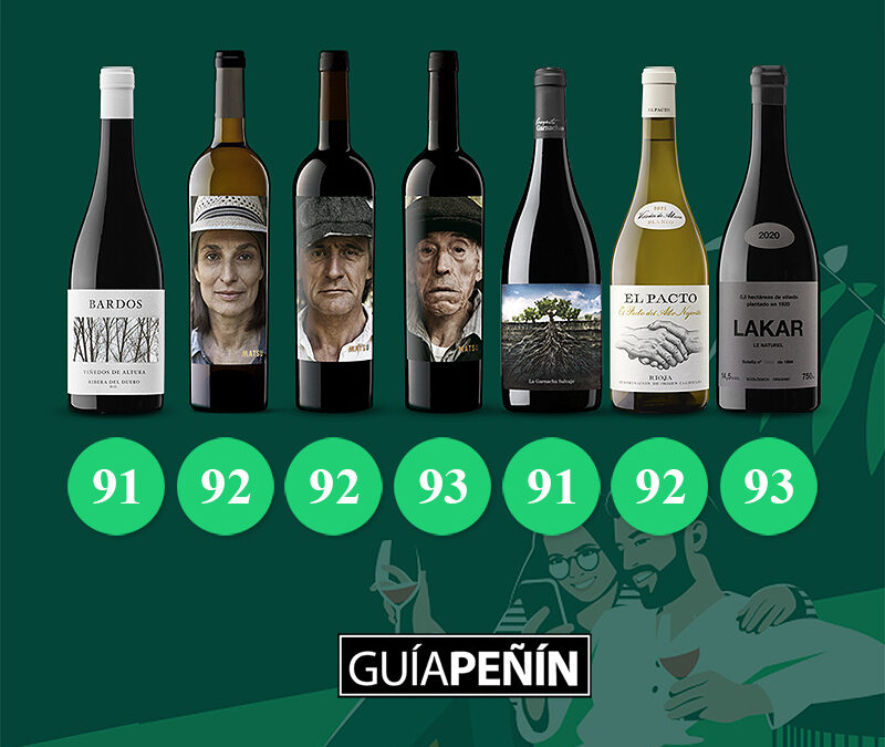 Los vinos de Vintae se superan: excelentes puntuaciones en Peñín