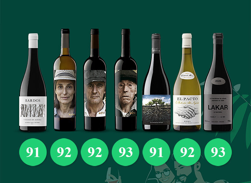 Vintae wines outperform themselves: excellent scores in Peñín