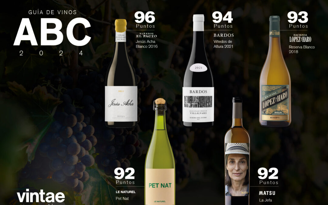 Los vinos de Vintae sobresalen en la Guía de vinos 2024 de ABC