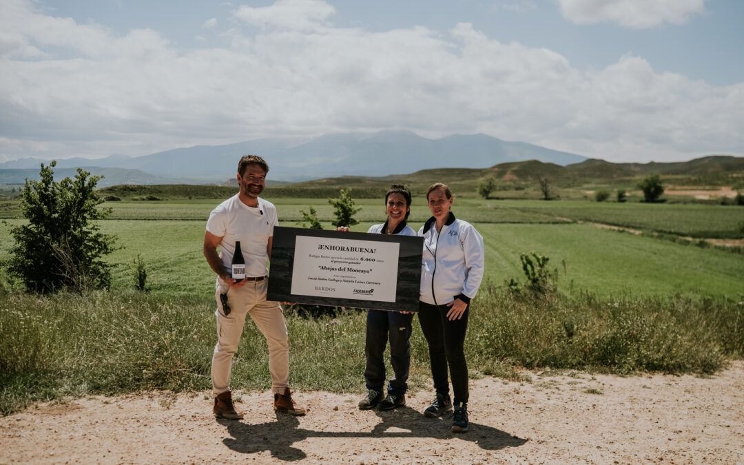 Abejas del Moncayo, winners of the 2025 Bardos Project: when beekeeping becomes a way to protect the land